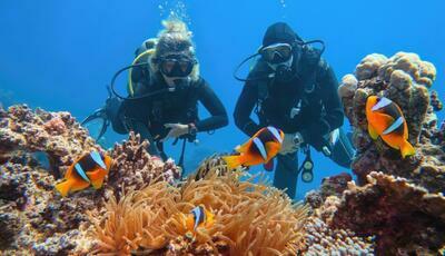 Egipt - Kair & Sharm el Sheikh - Piramidy + nurkowanie - wylot z Wrocławia (all inclusive)