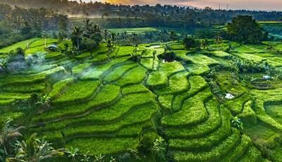 Bali - Wakacje pod palmami - wylot z Warszawy